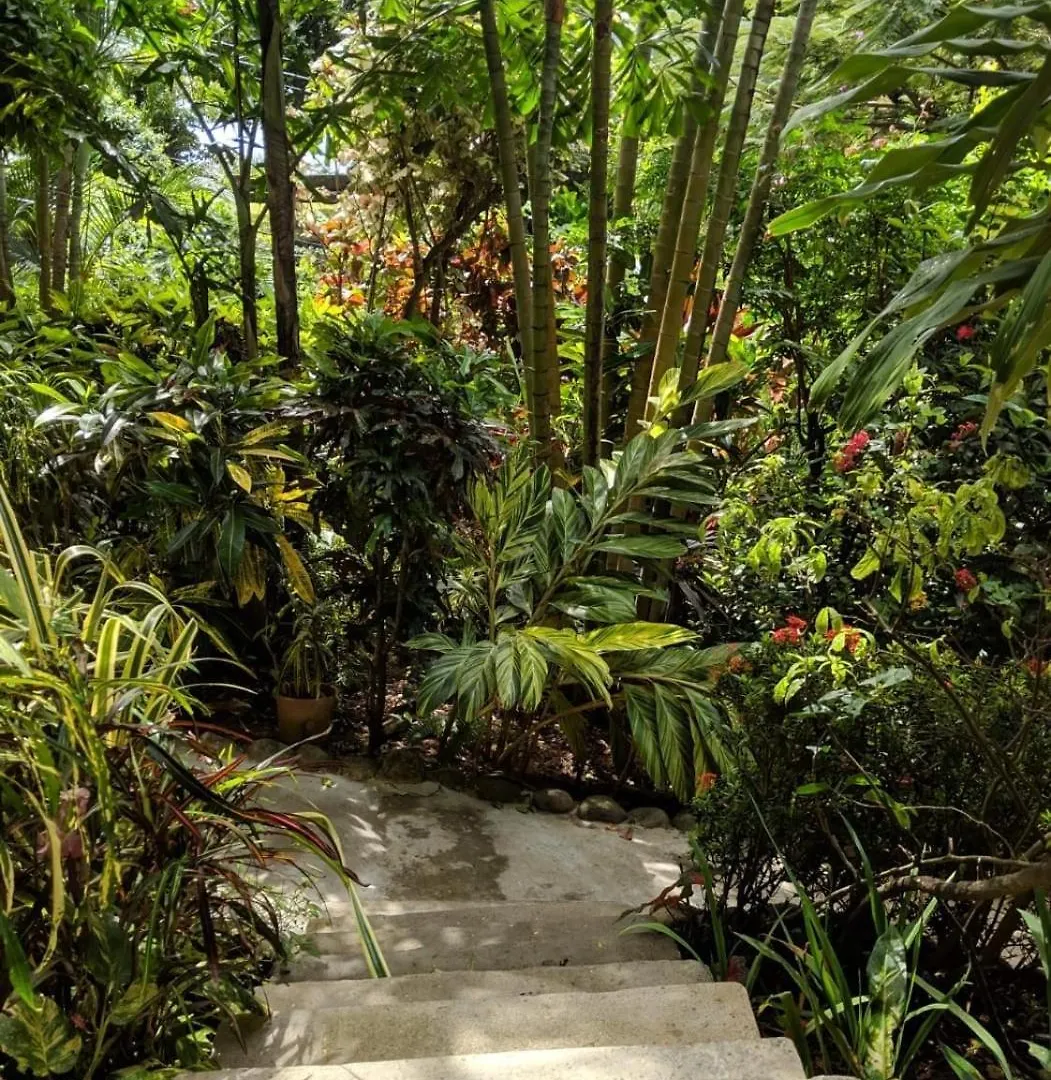 Treehouse Hideaway Villa II - Amazing Piton Views Σουφριέρ